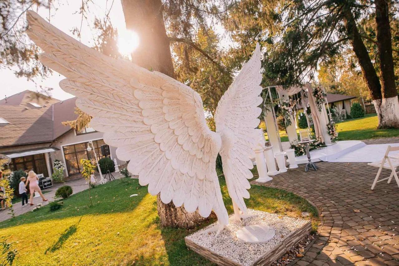 Provans Bohorodchany المظهر الخارجي الصورة