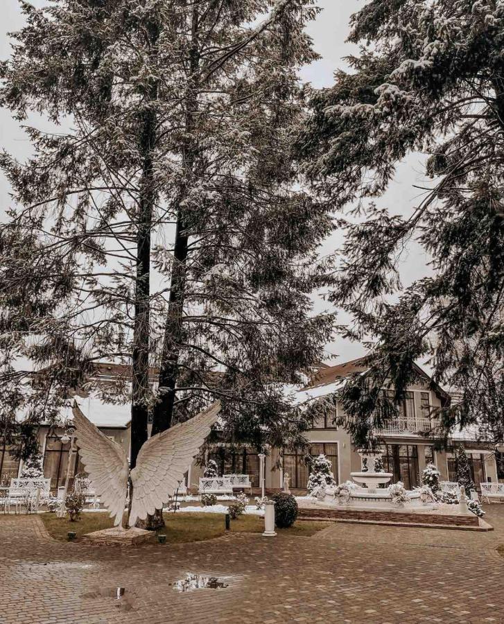 Provans Bohorodchany المظهر الخارجي الصورة